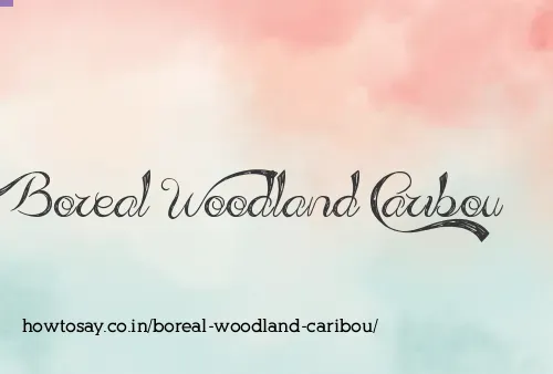 Boreal Woodland Caribou