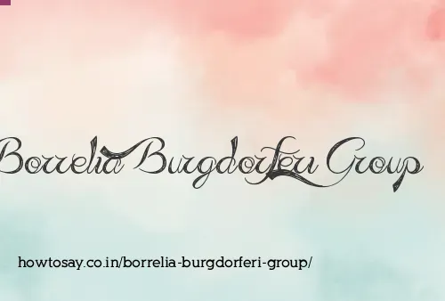 Borrelia Burgdorferi Group