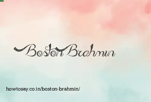 Boston Brahmin