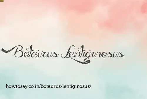 Botaurus Lentiginosus