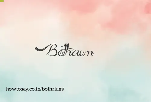 Bothrium