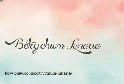 Botrychium Lunaria