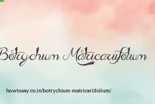 Botrychium Matricariifolium