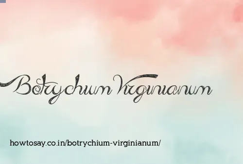 Botrychium Virginianum