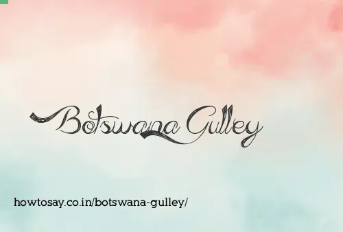 Botswana Gulley