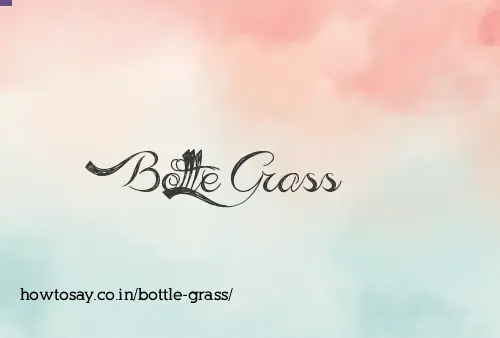 Bottle Grass