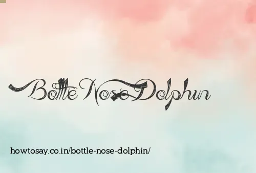 Bottle Nose Dolphin