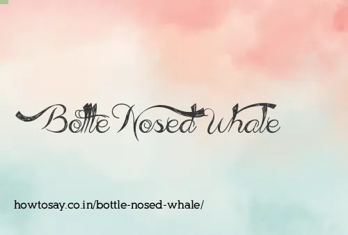 Bottle Nosed Whale