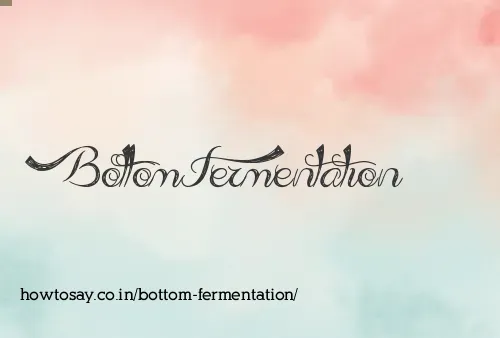 Bottom Fermentation