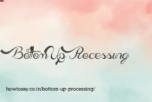 Bottom Up Processing