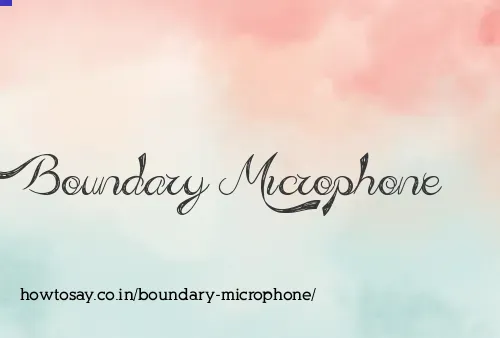 Boundary Microphone