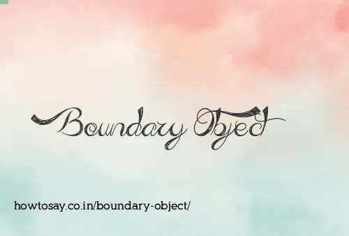 Boundary Object