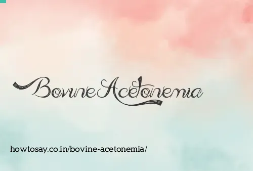 Bovine Acetonemia