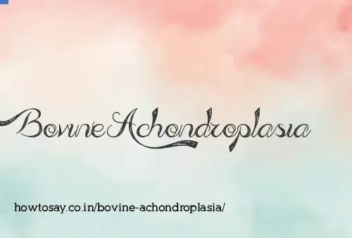 Bovine Achondroplasia