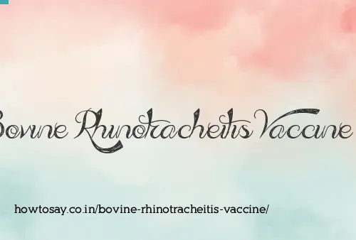 Bovine Rhinotracheitis Vaccine