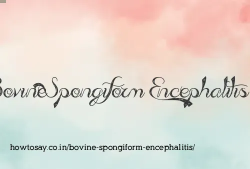 Bovine Spongiform Encephalitis