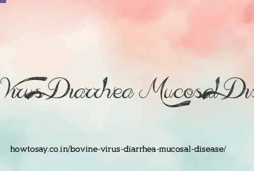 Bovine Virus Diarrhea Mucosal Disease
