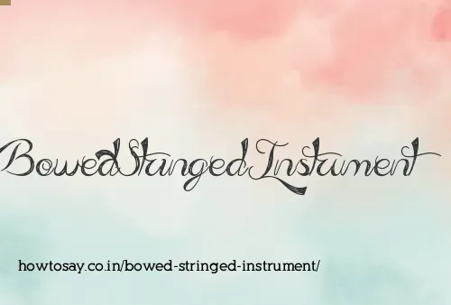 Bowed Stringed Instrument