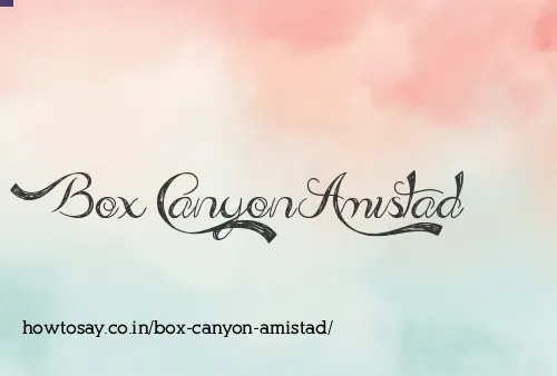 Box Canyon Amistad