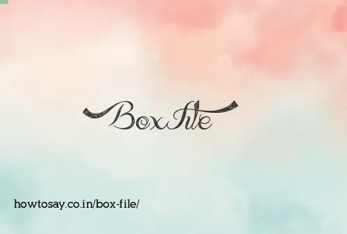 Box File