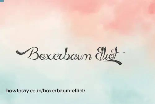 Boxerbaum Elliot