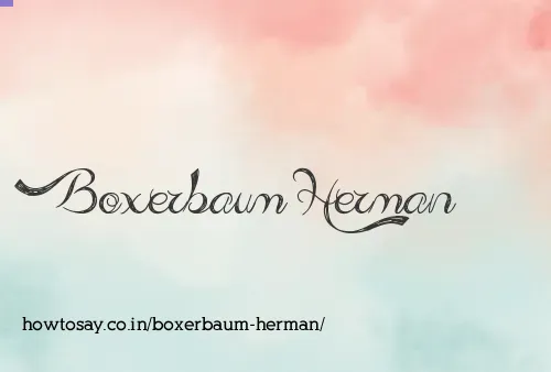 Boxerbaum Herman