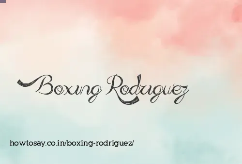 Boxing Rodriguez