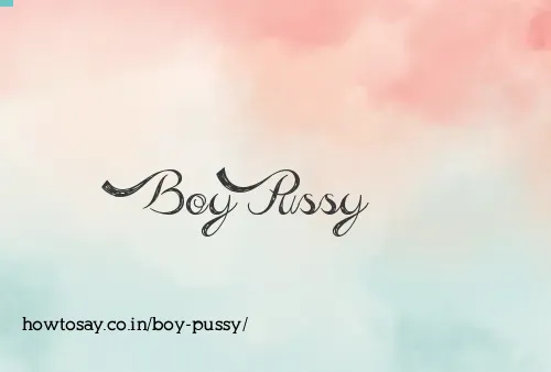 Boy Pussy