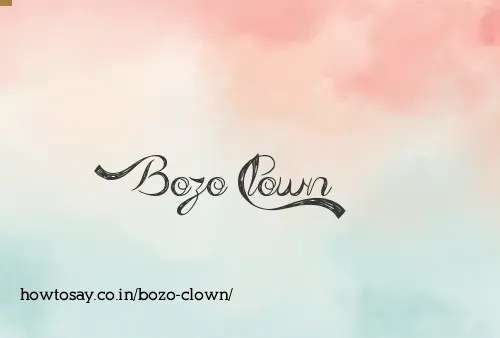 Bozo Clown