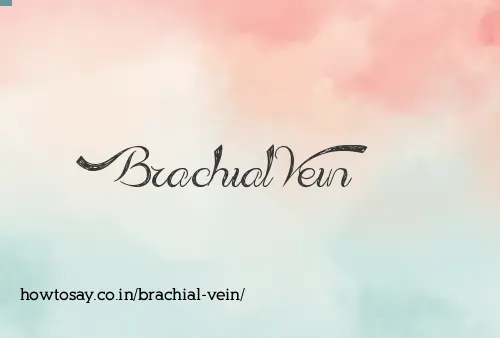 Brachial Vein