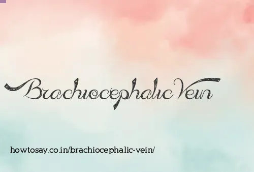 Brachiocephalic Vein