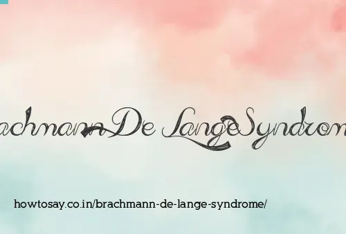 Brachmann De Lange Syndrome