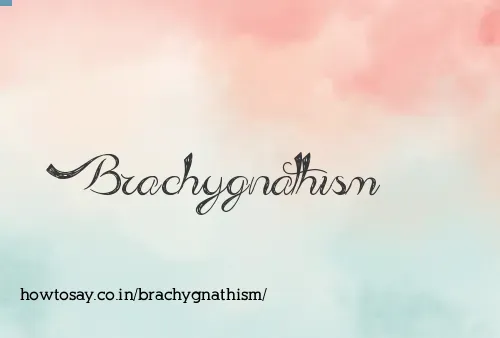 Brachygnathism