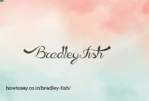 Bradley Fish