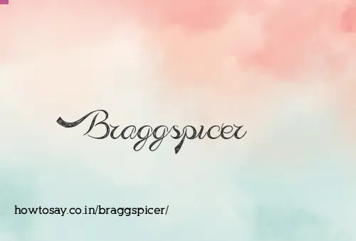 Braggspicer