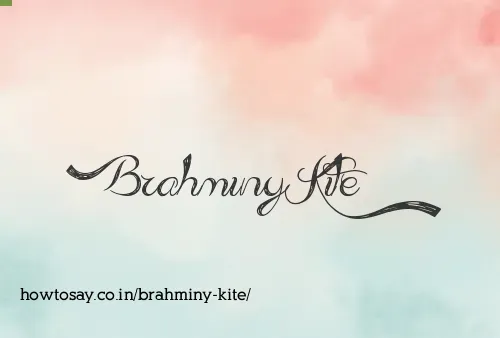 Brahminy Kite