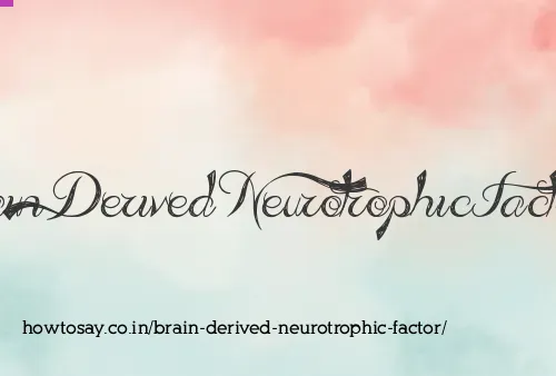 Brain Derived Neurotrophic Factor