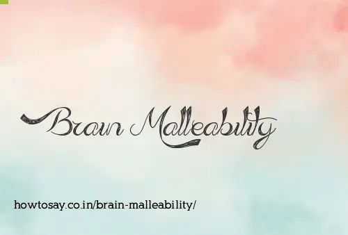 Brain Malleability