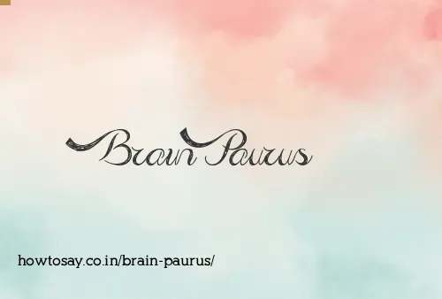 Brain Paurus