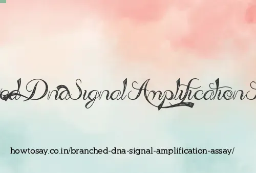 Branched Dna Signal Amplification Assay