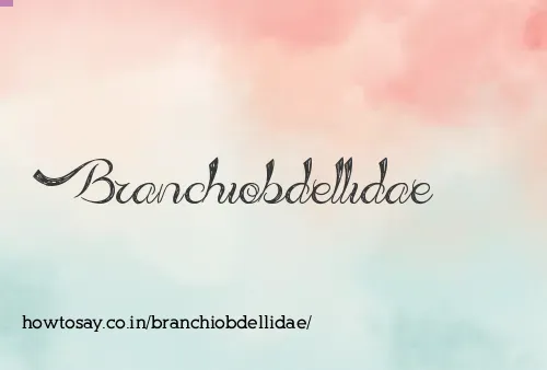 Branchiobdellidae
