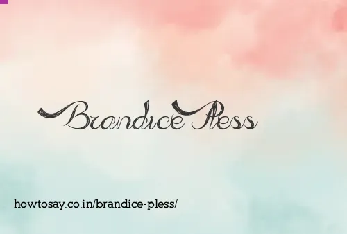 Brandice Pless