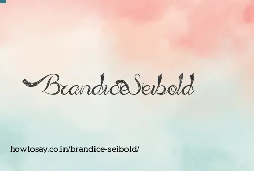 Brandice Seibold
