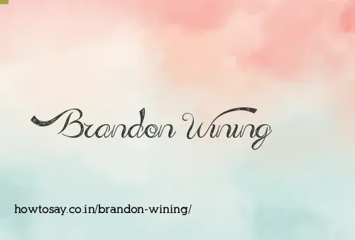 Brandon Wining
