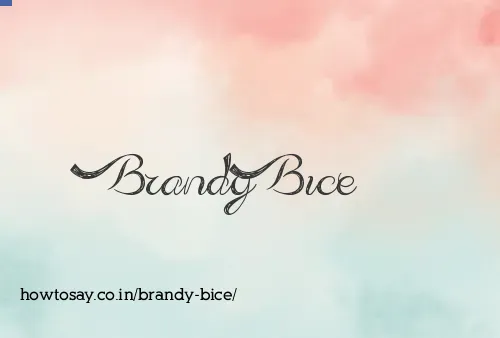 Brandy Bice