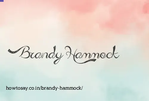 Brandy Hammock