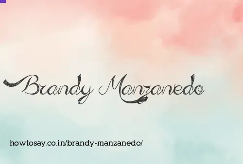 Brandy Manzanedo