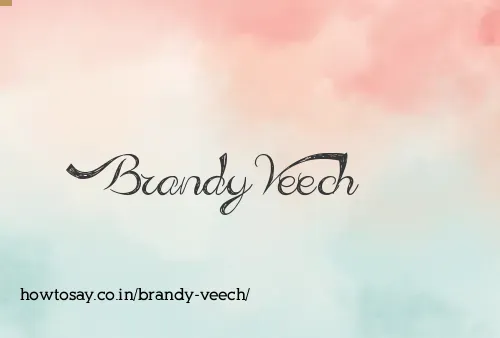 Brandy Veech