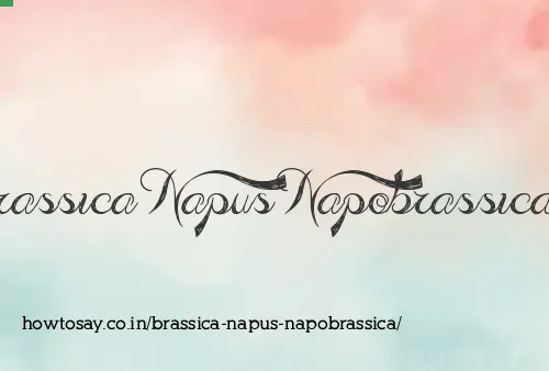 Brassica Napus Napobrassica
