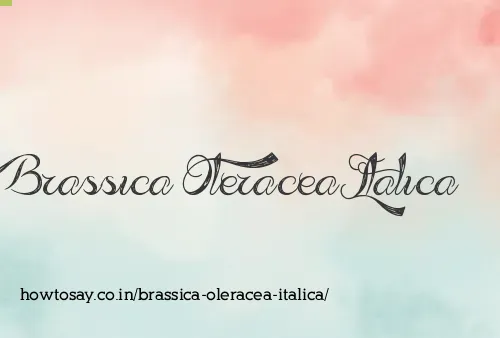 Brassica Oleracea Italica